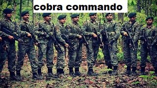 cobra commando